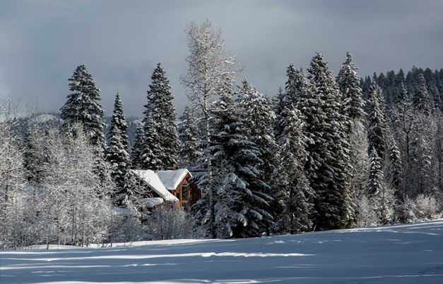Home in snow forest landscape